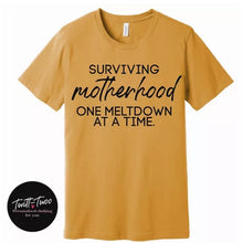 Load image into Gallery viewer, Surviving one meltdown at a time tshirt
