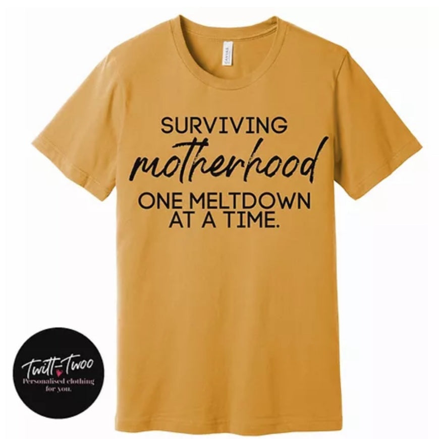 Surviving one meltdown at a time tshirt