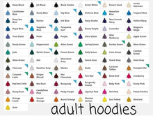 Load image into Gallery viewer, Name-saurus hoodie
